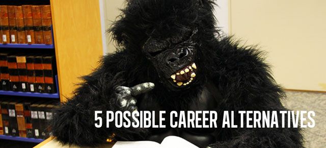5 Potential Career Alternatives