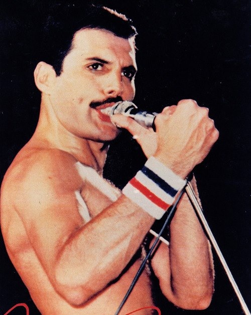 Freddie-freddie-mercury-32455777-500-628